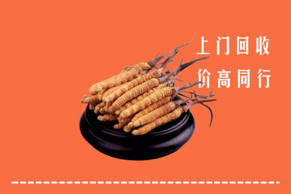 高价求购：温州市苍南回收散虫草