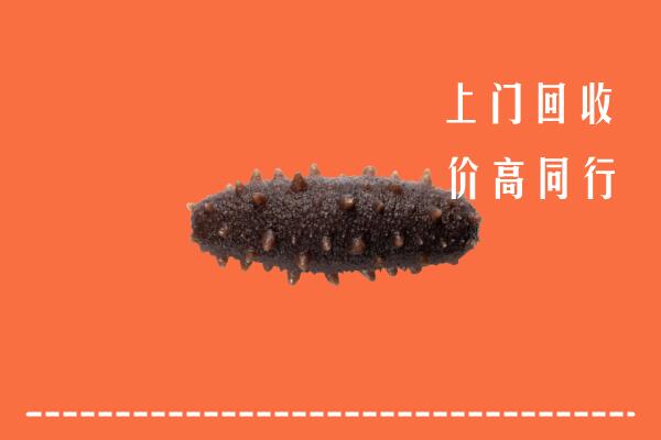 高价求购：温州市苍南回收海参