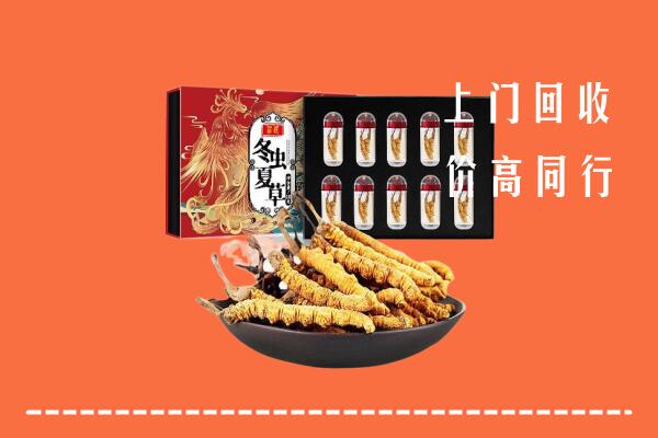 温州市苍南回收虫草